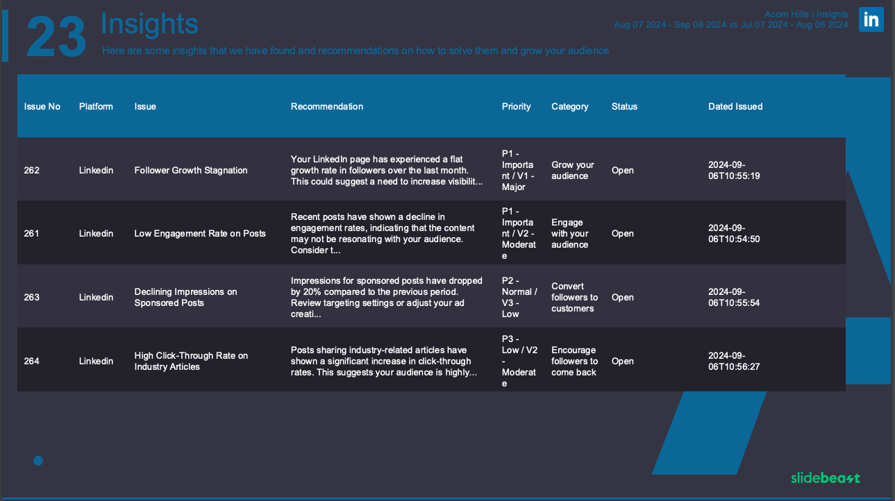 Slidebeast LinkedIn Report Insights Section